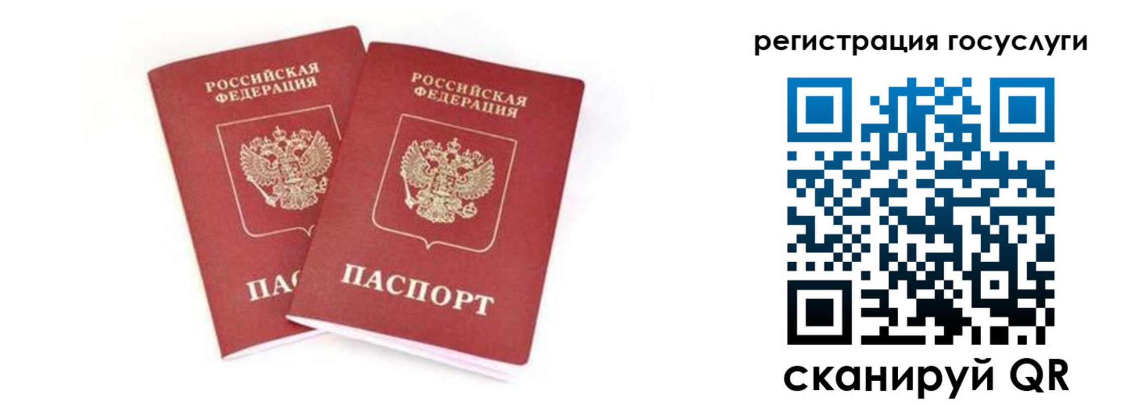 прописка в квартире в Болотном